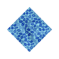 Vita Coco Bandana